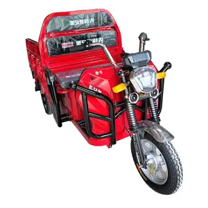 모빌리티 남녀공용 성인 승객 및 화물 이중 사용 Triclo Para Adultos 스마트 전기 세발 자전거