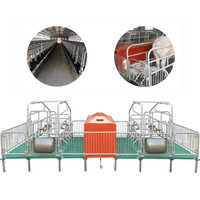 Nouvelles cages de mise bas pour truies en acier galvanisé, équipement agricole, système de plancher 500 mm, enclos de mise bas, grille pour truies 380 kg, 2 truies +30