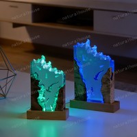Lampe de chevet LED en résine époxy avec requin marteur et plongeur, motif vague océanique, base en bois, pour décoration intérieure – Vente en gros
