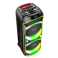 Speaker Portabel CSN-117 Dual 12 Inch untuk Pesta, Daya Puncak 100W, Lampu LED RGB 7 Warna, Speaker TWS AUX