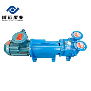 Bomba de Vacío de Anillo de Hierro Dúctil de Tipo Soporte Dividido para Motor Trifásico de Alta Potencia Serie BOYUAN 2BV6 para Alimentos - Product Image 6