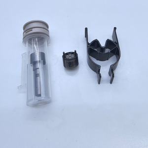 Khách hàng được phê duyệt động cơ diesel Common Rail <span class=keywords><strong>Injector</strong></span> Bộ dụng cụ sửa chữa 7135-647 cho Renault Delphi <span class=keywords><strong>Injector</strong></span> r01801z/28232248 - Product Image 6