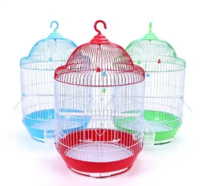parrot cage big