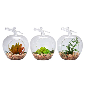 <span class=keywords><strong>Terrarium</strong></span> verre en forme de perle, <span class=keywords><strong>plante</strong></span> d'extérieur, vente en gros - Product Image 6
