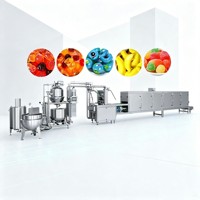 Automatische, zeer nauwkeurige apparatuur voor de verwerking van vitamine gummies (150-600 kg/uur), inclusief productie- en verpakkingsmachine voor center-filled gummies.