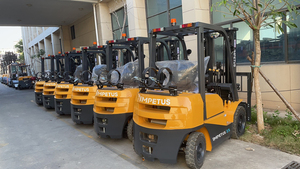 2t משאית טבעי 4 x4 מנוע עבור גז טון סין 2t lpg 5000 מ "מ פרופן נוזלי 5,000 lb מלגזה - Product Image 3