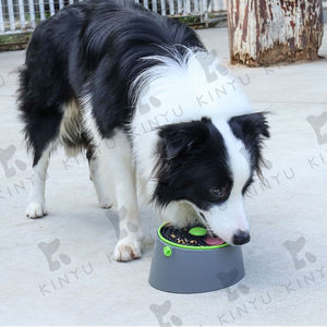 KINYU 2022 yeni İşlevli IQ eğitim Pet yavaş besleyici topu kase köpek bulmaca oyuncak zenginleştirme - Product Image 5