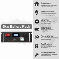 Seplos 51.2v 100ah 200ah Batteries au lithium-ion 5kw système de batterie externe solaire Lifepo4 pack de batterie 48V systèmes de stockage d'énergie domestique