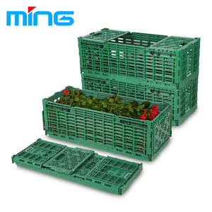 Plastic Foldable Stackable Crates for Moving Transport Fresh Cut Flower
