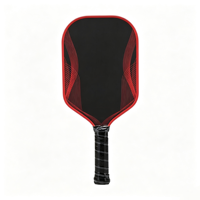 Raquette de pickleball professionnelle haute puissance en fibre de carbone, surface Gen4, noyau en nid d'abeille PP