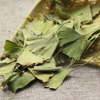Ginkgo-Blatt