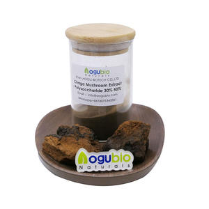 Factory Supply Natürlicher Chaga-Pilzex trakt 30% Polysaccharid pulver Organisches Chaga-Pilz pulver - Product Image 1