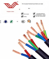 Câble TONGBAO RVV 300/500V à âme en cuivre, isolé en PVC, plat et flexible, norme européenne, 12 AWG, 234,5 conducteurs, câble de signalisation
