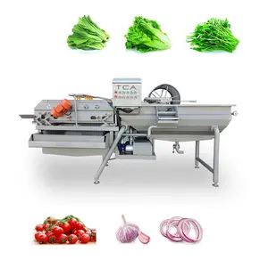 Endüstriyel meyve sebze işleme hattı kesme kabarcık yıkama susuzlaştırma makinesi için domates ve yapraklı sebze