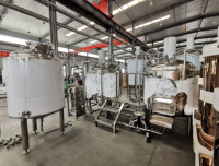 Petite échelle Restaurant Hôtel Pub Bar Microbrasserie Machines pour la bière artisanale Fermentation 200L 300L 500L 600L