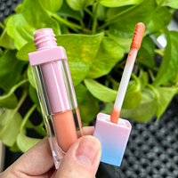 Bleu rose dégradé Tube maquillage en gros personnalisé brillant à lèvres vendeur marque privée brillant à lèvres mat rouge à lèvres mattes liquide rouge à lèvres