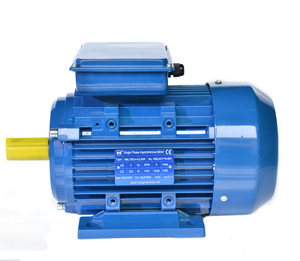 Motor de Inducción de CA Monofásico Vertical Silencioso de 3 kW 220V Multivoltaje IP55 con Bobinado 100% de Cobre - Product Image 3