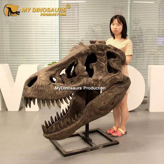 My Dino в натуральную величину динозавр T-rex Head Fossil