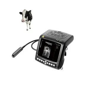 厂家批发价格Kx5200 b型兽用仪器兽医超声波扫描仪