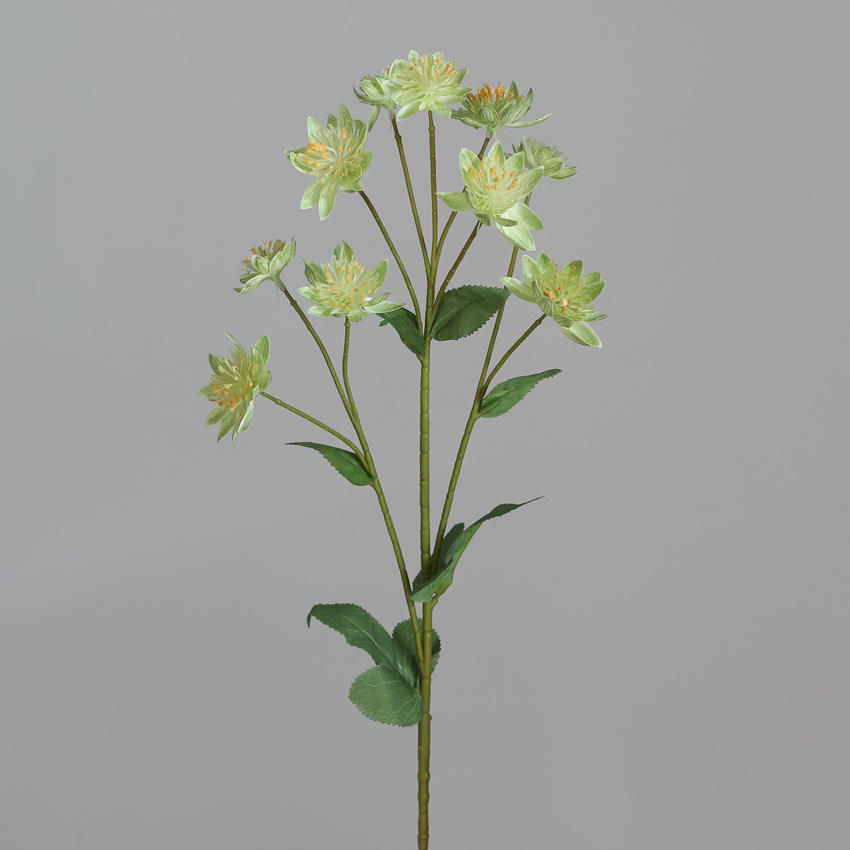 สีเขียว