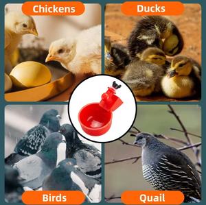 Abreuvoir pour volailles pouvant être monté sur des seaux, des réservoirs ou même des tuyaux en <span class=keywords><strong>PVC</strong></span>, anti-fuite et anti-éclaboussures, <span class=keywords><strong>mangeoire</strong></span> pour volailles pour les fermes - Product Image 6