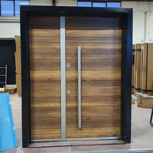 Porte intérieure en acier inoxydable pour appartement, villa, hôtel, solution de sécurité moderne de luxe durable et rentable - Product Image 1