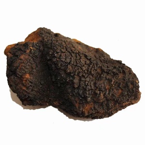 Extracto de fruta de hierbas en polvo de terciopelo de abedul en paquete variado-Botella puede tambor contenedor de plástico envasado al vacío - Product Image 1