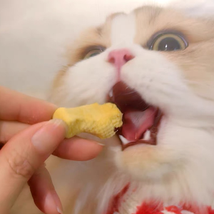 Friandises pour chats lyophilisées sur mesure OEM, recette poulet, saveur jaune <span class=keywords><strong>d</strong></span>'œuf, vente en gros, collations saines pour chats - Product Image 5