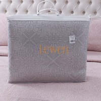 Ensemble de literie léger matelassé en microfibre 3 pièces pour chambre à coucher toutes saisons, garni de polyester