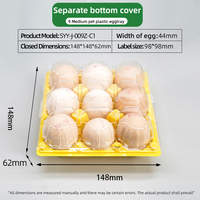 Plateau à œufs en PET coloré de qualité alimentaire haute clarté avec couvercle détachable, conception conique brevetée anti-casse, OEM ODM personnalisé