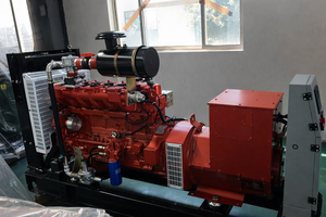 रिमोट/ऑटो स्टार्ट सिस्टम के साथ 60kw स्टाम्फोर्ड वाटर कूलिंग सिंगैस और बायोगैस जनरेटर रिमोट/ऑटो स्टार्ट सिस्टम 95% दक्षता ip23 dc 220v 50/60hz - Product Image 4