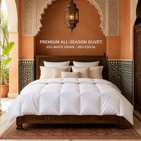 Couette d'insertion 95% duvet d'oie écologique pour la maison, toutes saisons, chaleur polyvalente, respirante, en coton ultra doux, vente en gros directe usine