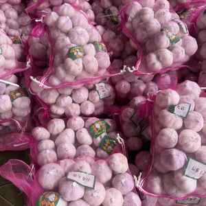 Trung Quốc Top-notch tinh khiết trắng tươi khỏe mạnh tỏi hoàn hảo cho ẩm thực sử dụng lưới túi bao bì thuận tiện cho thị trường bán - Product Image 4