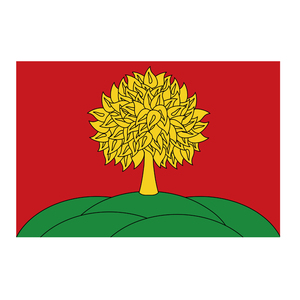 Bandera Patriótica Nacional Personalizada con Impresión Digital en Poliéster, Doble Costura, Bandera Promocional al por Mayor, Oblast de <span class=keywords><strong>Lipetsk</strong></span>, 3x5 Pies - Product Image 3