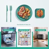 Ensemble de vaisselle de camping en plastique passe au lave-vaisselle ensemble de pique-nique réutilisable sans BPA recyclable RPET recyclé tasse bol assiette ensemble de couverts