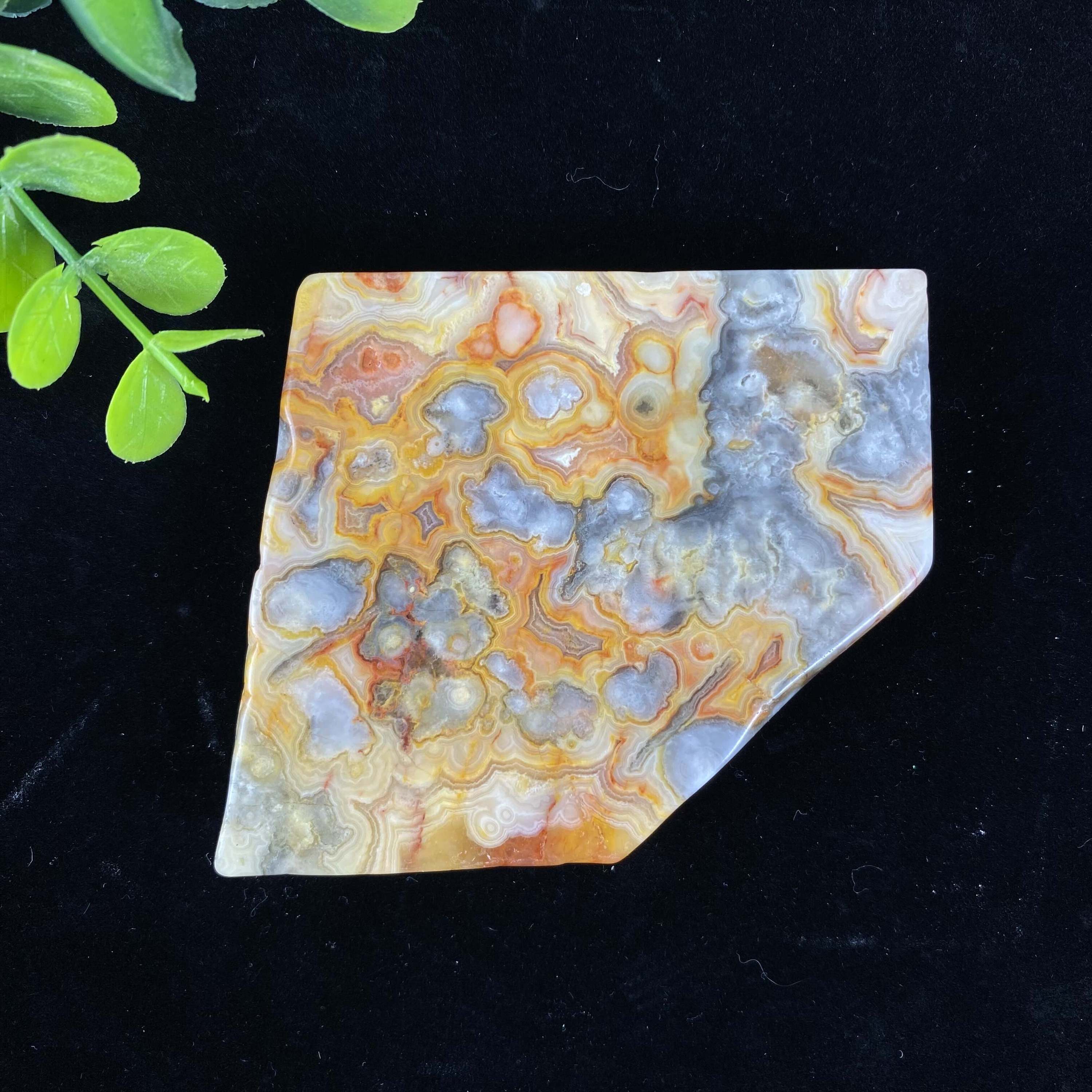 11. Agate de dentelle folle