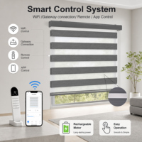 Persianas Zebra Motorizadas OEM ODM de Doble Capa con Control Remoto WiFi Inteligente para Automatización del Hogar