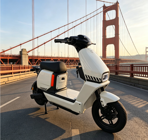 Dernier modèle d'exportation de deux-roues OEM/ODM, conception avec batterie au plomb ou au lithium, charge rapide, conduite sécurisée, économique - Product Image 6