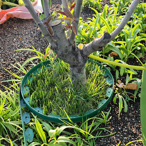 Bordo <span class=keywords><strong>per</strong></span> <span class=keywords><strong>Giardino</strong></span> Flessibile Taurus, Facile <span class=keywords><strong>da</strong></span> Installare, <span class=keywords><strong>per</strong></span> Decorazione di Prati e Cortili - Product Image 5