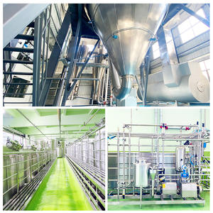 OEM-service Voedingsproblemen, lage immuniteit, mensen die gevoelig zijn voor allergieën, darmproblemen veroorzaakt door acclimatizatie Probiotica - Product Image 3