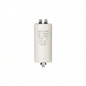 Aluminum Electrolytic <b>Capacitor</b> 30uF 450V M8 Terminal 500V 10000h C.C. EN60252-1 - Product Image 3