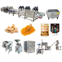 Droge Gember Knoflook Snijmachine Drogen En Mixer Grinder Procesmachines Lijn Voor Gember Drogen Dehydrator Prijs India