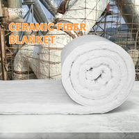 Couverture en fibre céramique à prix d'usine, produits d'isolation ignifuges, couverture en fibre céramique pour l'industrie chimique