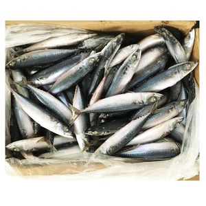 Tên khoa học của đông lạnh toàn bộ Thái Bình Dương Cá Thu cá trên bán với giá tốt nhất của Thái Bình Dương Cá Thu - Product Image 3