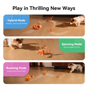 E-TPU Material Eco-friendly Interactive <b>Dog</b> Toy Wicked <b>Ball</b> Rolly Shell - Product Image 2