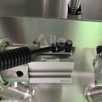 Aile 2 cabezales Gel de lavado de manos automático Jabón Champú Detergente Jabón líquido Máquina de llenado y tapado Taponadora