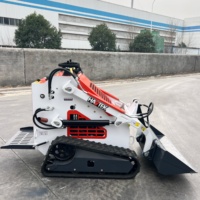 Mini bulldozer diesel à moteur essence, nettoyage, chargement de fumier, tri de fourrage, chargeuse compacte à bas prix en Chine, livraison gratuite