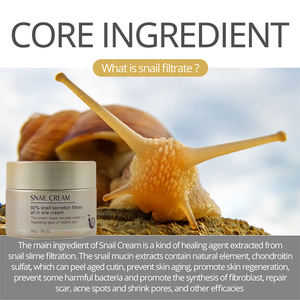 Crème Visage Hydratante Blanchissante Éclaircissante pour le <span class=keywords><strong>Teint</strong></span>, Soin de la Peau OEM, Élimine les Boutons et l'Acné, Crème Visage à l'Escargot - Product Image 4