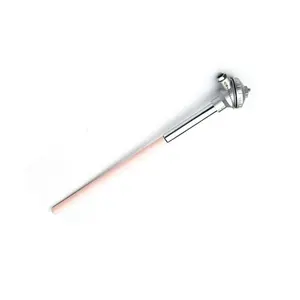 Cặp Nhiệt Điện Thẳng S/R Với Ống Bảo Vệ Gốm Và Đầu Nối Đầu Cuối Cặp Nhiệt Điện Loại B R S - Product Image 5