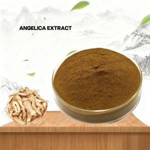 Bubuk ekstrak akar Angelica China herbal China/<span class=keywords><strong>Dong</strong></span> <span class=keywords><strong>Quai</strong></span> - Product Image 2